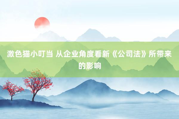 激色猫小叮当 从企业角度看新《公司法》所带来的影响