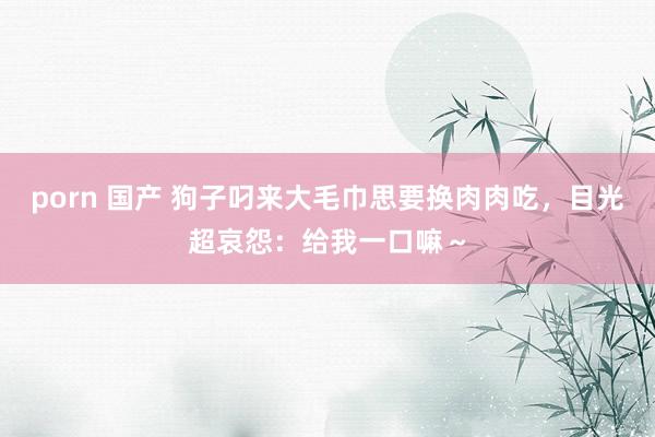 porn 国产 狗子叼来大毛巾思要换肉肉吃，目光超哀怨：给我一口嘛～