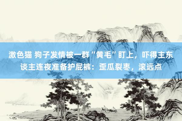 激色猫 狗子发情被一群“黄毛”盯上，吓得主东谈主连夜准备护屁裤：歪瓜裂枣，滚远点