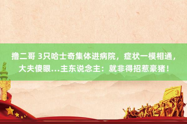 撸二哥 3只哈士奇集体进病院，症状一模相通，大夫傻眼…主东说念主：就非得招惹豪猪！
