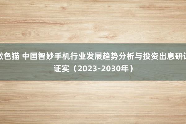 激色猫 中国智妙手机行业发展趋势分析与投资出息研讨证实（2023-2030年）