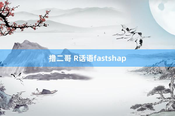 撸二哥 R话语fastshap