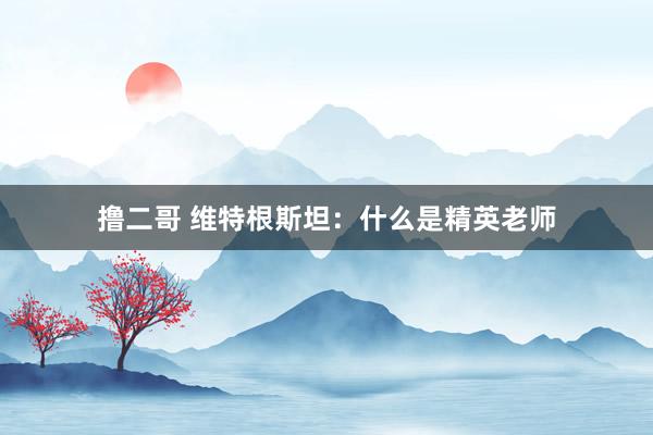 撸二哥 维特根斯坦：什么是精英老师