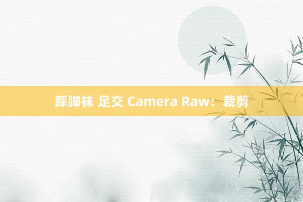 踩脚袜 足交 Camera Raw：裁剪