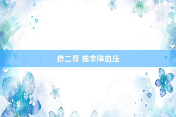 撸二哥 推拿降血压