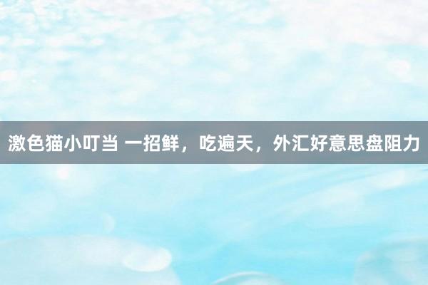 激色猫小叮当 一招鲜，吃遍天，外汇好意思盘阻力