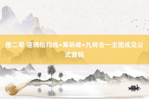 撸二哥 邃晓信均线+筹码峰+九转合一主图成见公式源码
