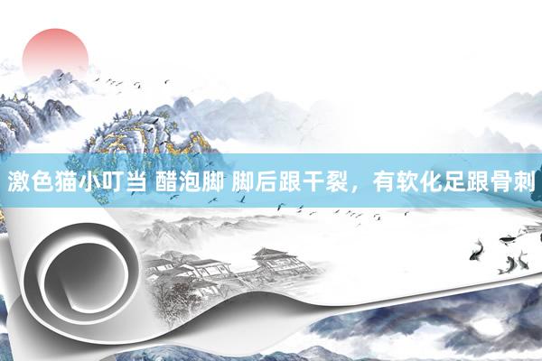 激色猫小叮当 醋泡脚 脚后跟干裂，有软化足跟骨刺