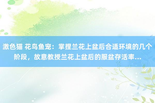 激色猫 花鸟鱼宠：掌捏兰花上盆后合适环境的几个阶段，故意教授兰花上盆后的服盆存活率...