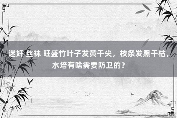 迷奸 丝袜 旺盛竹叶子发黄干尖，枝条发黑干枯，水培有啥需要防卫的？