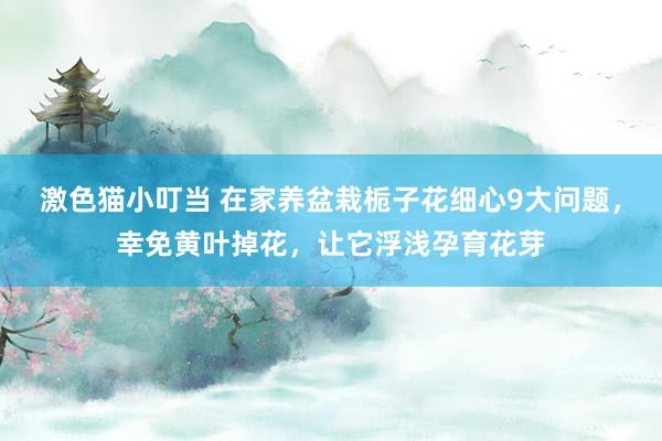 激色猫小叮当 在家养盆栽栀子花细心9大问题，幸免黄叶掉花，让它浮浅孕育花芽