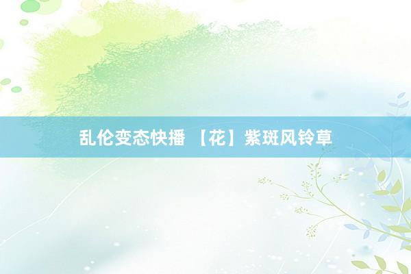 乱伦变态快播 【花】紫斑风铃草